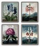 Flower Print Set of 4 - Botanical Illustration Art-613-set-of-4(2)