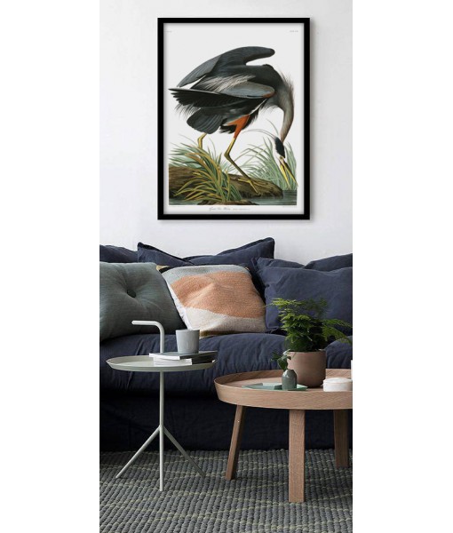 Great Blue Heron Print - Art-700(2)