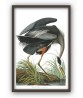 Great Blue Heron Print - Art-700(2)