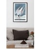 Seagull Print - American Birds - Audubon Illustration Print Art-700(7)