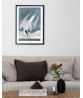 Seagull Print - American Birds - Audubon Illustration Print Art-700(7)