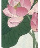 Ohara Koson - Lotus - Vintage Illustration Print