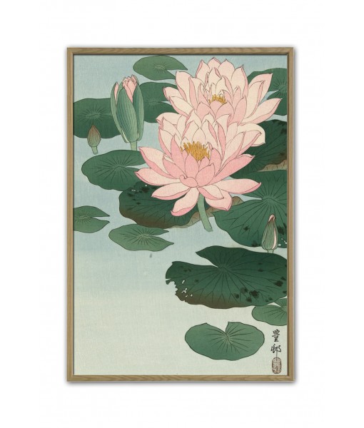 Ohara Koson - Water Lily - ...