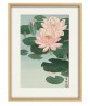 Ohara Koson - Water Lily - Vintage Illustration Print