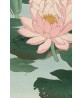 Ohara Koson - Water Lily - Vintage Illustration Print