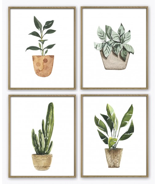 Potted Plant Print Set of 4 ...