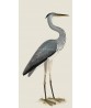 Grey Heron - Birds Print - Large Wall Decor - Art-719-1