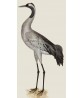 Grey Heron - Birds Print - Large Wall Decor - Art-719-2
