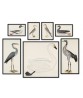 Birds Print Set of 7, Home Wall Art Gallery, Vintage Illustrations No_740