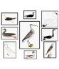 Birds Print Set of 9 – Art-770(set_11)
