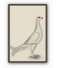 Black Grouse Bird - Vintage Illustration Print - Art-770-10