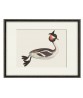 Great Crested Grebe Bird - Art-770(20)