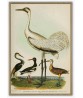 Heron and Crane - Bird Print Set of 2- Art-778