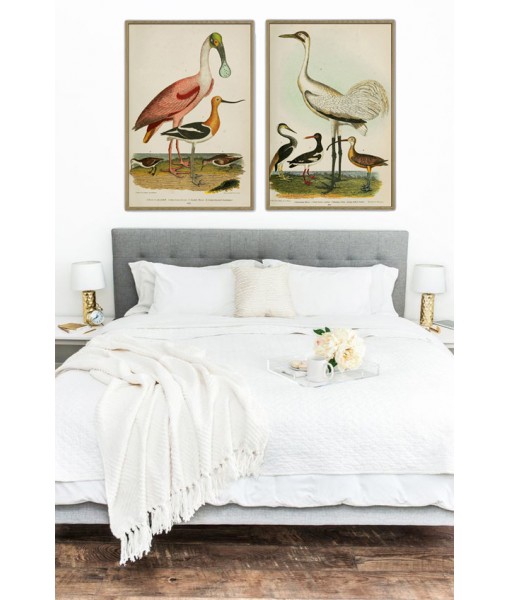 Spoonbill and Heron - Bird Print ...