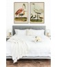 Spoonbill and Heron - Bird Print Set of 2- Art-778