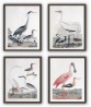 Birds Print Set of 4,  Art-782