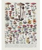 Mushrooms  Art Print Botanical Kitchen Poster Art-785
