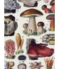 Mushrooms  Art Print Botanical Kitchen Poster