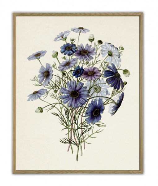Blue Flowers Bouquet Print, Vintage Botanical ...