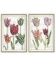 Tulip Flower Print Set of 2 - Art-837