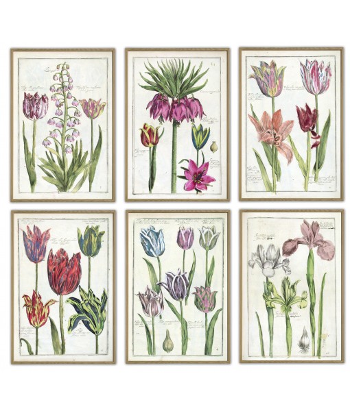 Tulip Flower Print Set of 6 ...