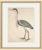 Heron Bird Print - Art-863
