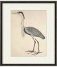 Heron Bird Print - Art-863