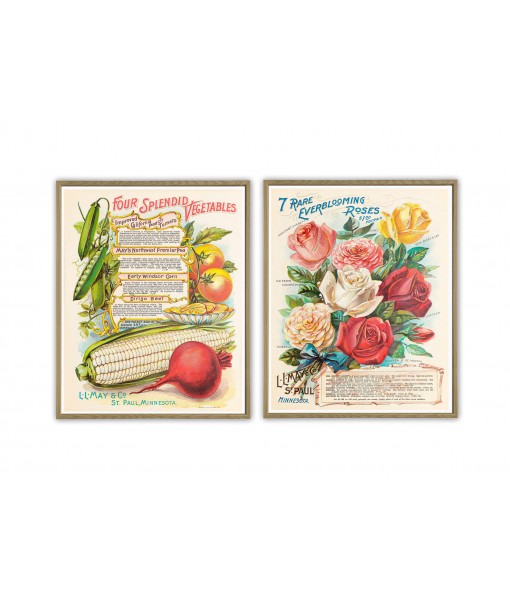 Vintage Advertising - Flowers and Fruit Illustration Print Set of 2 - Art-901