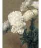 Poppies y Henri Fantin-Latour, Vintage Oil Painting Print