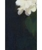 White Hydrangea by Stuart Park - Vintage Oil Painting Print