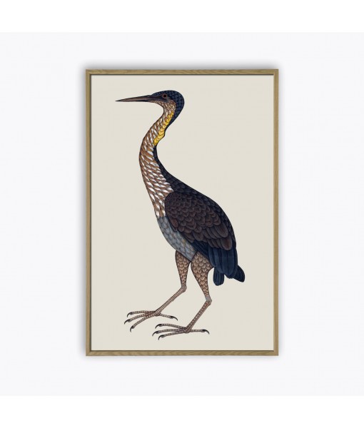 Purple Heron - Bird Painting Print ...