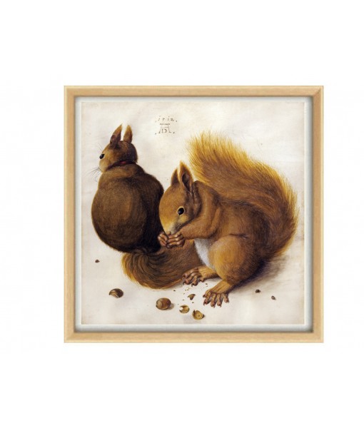 Two Squirrels by Albrecht Durer -Vintage ...
