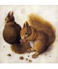 Two Squirrels by Albrecht Durer -Vintage Painting Print Art-995