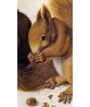 Two Squirrels by Albrecht Durer -Vintage Painting Print Art-995