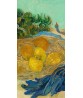 Vincent Van Gogh - Still Life of Oranges and Lemons with Blue Gloves - Art-998