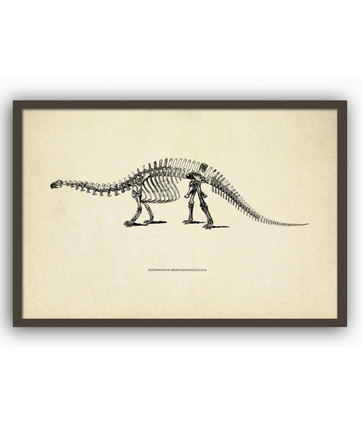 Brontosaurus Dinosaur Skeleton Print, Prehistoric Fossil Animals, Antique Book Plate Illustration, Paleontology
