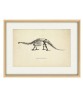 Brontosaurus Dinosaur Skeleton Print, Prehistoric Fossil Animals, Antique Book Plate Illustration, Paleontology