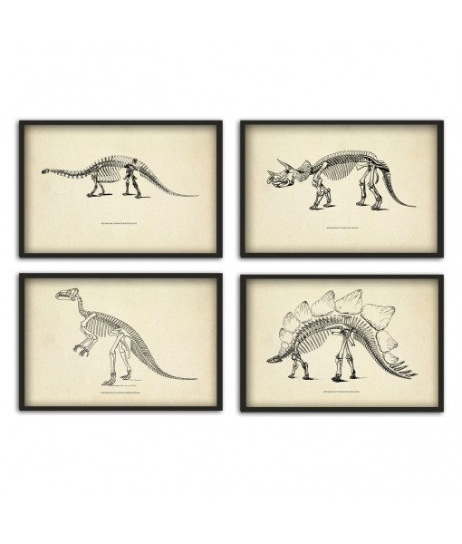 Dinosaur Skeleton Print Set of 4, ...