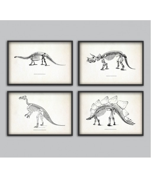Dinosaur Skeleton Print Set of 4, Prehistoric, Fossil Book Plate Illustration, Paleontology