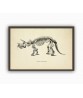 Triceratops Dinosaur Skeleton Print, Prehistoric Fossil Animals, Vintage Book Plate Illustration, Paleontology