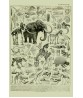 Skeleton Print, Fossil Prehistoric Animals, Natural History Poster