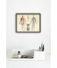 Human Muscles Body Antique Anatomy Wall Art Poster - Human Skeleton - Biology Student Gift Idea -Antique Anatomy Home Decor