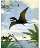 Pterodactyl Print - Dinosaur Wall Art - Prehistoric Reptile - Animal Poster - Paleontology Art - Art-426